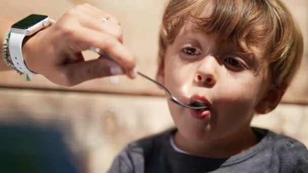 Feeding Little Boy Food Lunch — Video