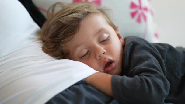Menino Dormindo Criança Criança Dormindo Cochilando — Vídeo de Stock