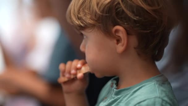 Menino Comendo Pedaço Pão Criança Come Comida — Vídeo de Stock