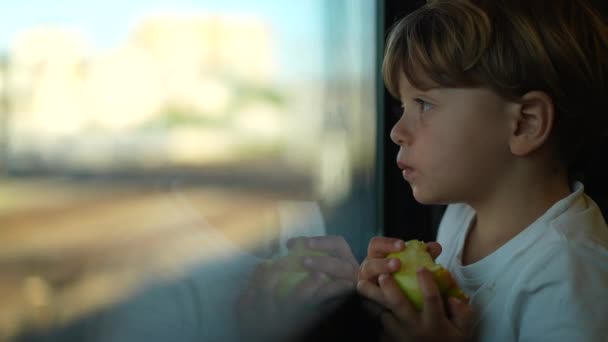 Small Child Riding Train Looking Out Window While Holding Apple — Vídeo de stock