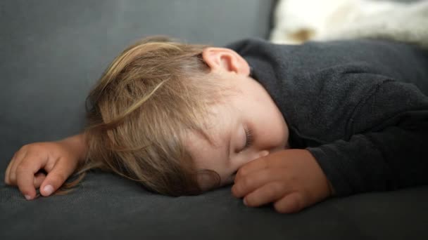 Küçük Çocuk Öğleden Sonra Kanepede Kestiriyor Yüzü Kapalı Uyuyor — Stok video