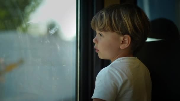 Kleiner Junge Reitet Zug Und Schaut Aus Fenster — Stockvideo