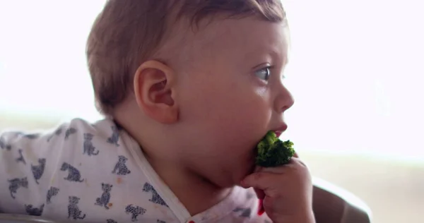 Toddler Baby Sitting Highchair Eating Broccoli — Fotografia de Stock