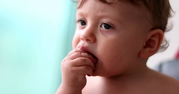 Cute Baby Grabbing Food Eating Feeding Infant Boy Child Portrait — Stockfoto