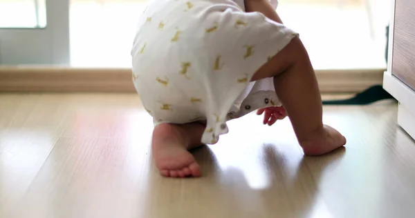 Baby Infant Child Development Crawling Hardwood Floor Home — 스톡 사진