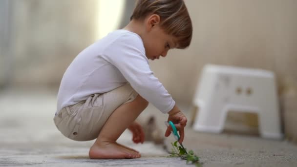 Дитяче Різання Зеленого Листа Іграшковими Ножицями — стокове відео