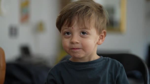 Mignon Enfant Petit Adorable Garçon Portrait — Video