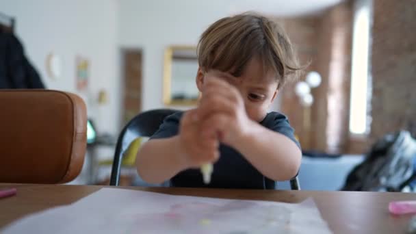 Enfant Joue Maison Avec Art Artisanat Appuyant Sur Peinture — Video