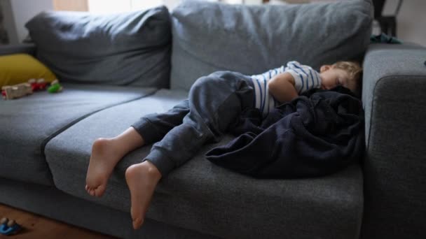 Sieste Enfant Sur Canapé Dans Après Midi — Video