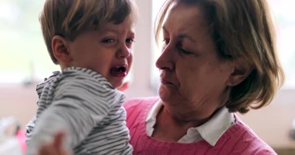 Grand Mère Consolation Pleurant Bébé Petit Enfant Grand Parent Tenant — Video