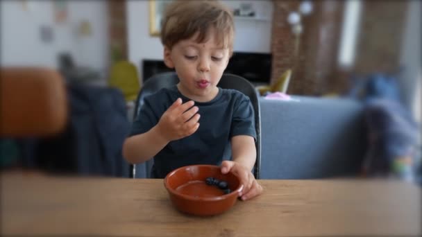 Egészséges Áfonyás Gyümölcsöt Evő Gyerek — Stock videók