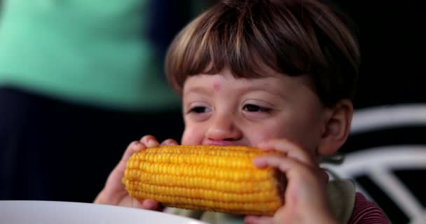一个吃玉米的小男孩中午吃健康的食物 — 图库视频影像