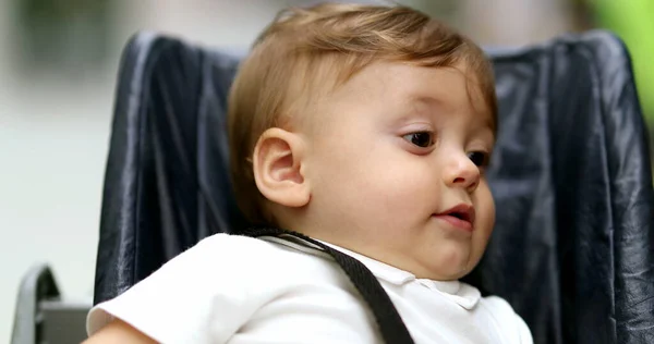Portrait Observant Baby Infant Toddler Sitting Chair Cute Child Face — Foto de Stock