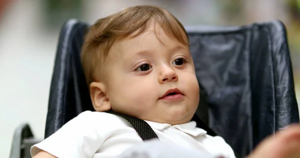 Portrait Observant Baby Infant Toddler Sitting Chair Cute Child Face — Fotografia de Stock