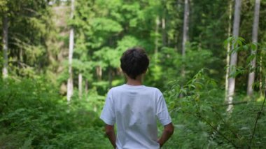 Ormanda gezen genç bir çocuk doğada.