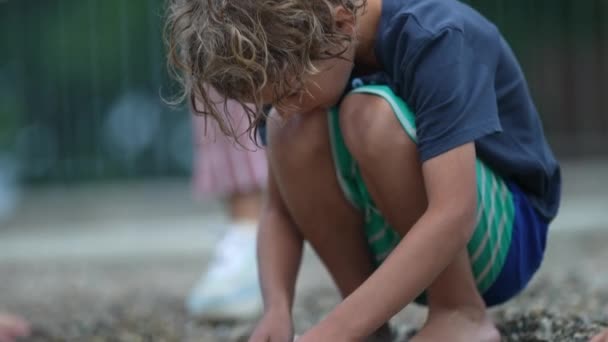 Kleiner Junge Auf Der Suche Nach Felsen Strand Oder Park — Stockvideo