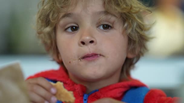 クッキーを食べながら考える思慮深い少年の表情 — ストック動画