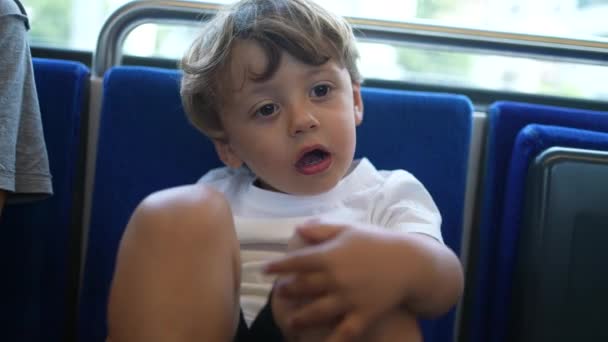 Due Fratelli Che Viaggiano Treno Bambini Sui Trasporti — Video Stock
