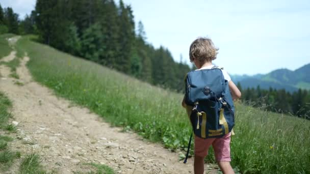 Malý Chlapec Kráčí Zelené Cestě Venku Přírodě — Stock video