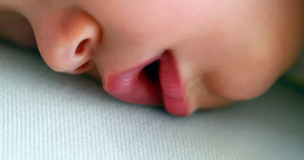 Baby Macro Close Mouth Drooling Napping — 스톡 사진