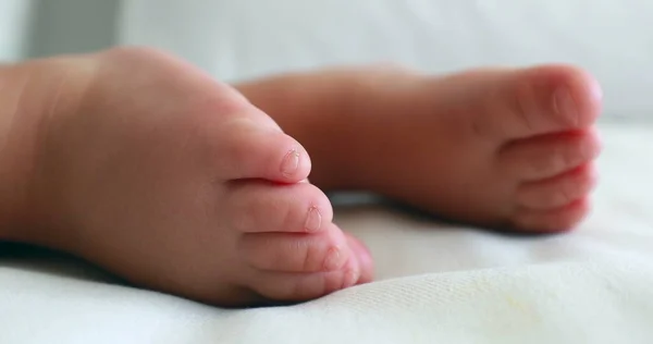 Baby feet and toes close-up while sleeping. One year old toddler infant two geet closeup