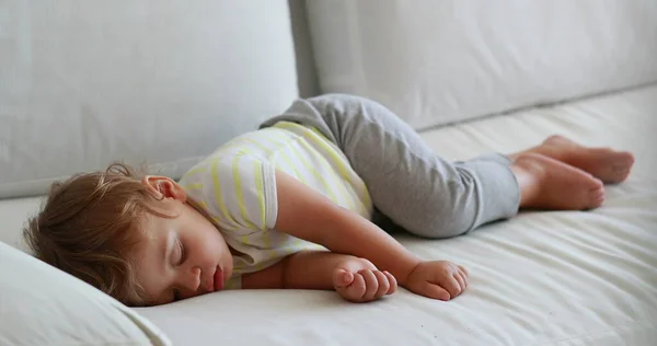 Baby Boy Asleep Couch Candid One Year Old Toddler Infant — 图库照片