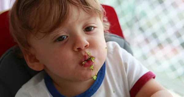 Baby Eating Blueberries Sitting Sofa Infant One Year Old Toddler — Stockfoto