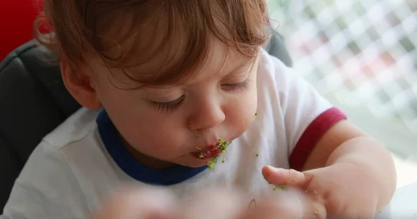 Baby Eating Blueberries Sitting Sofa Infant One Year Old Toddler — Foto Stock