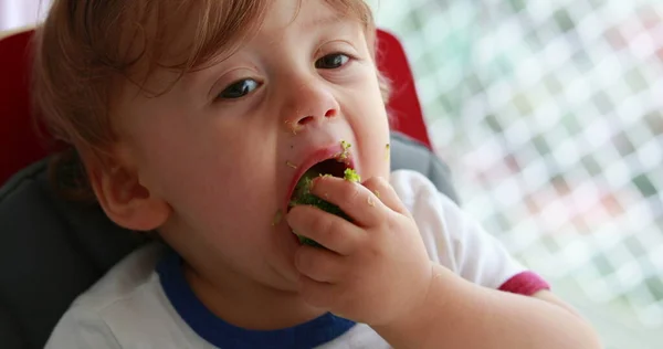 Baby Eating Blueberries Sitting Sofa Infant One Year Old Toddler — Stockfoto