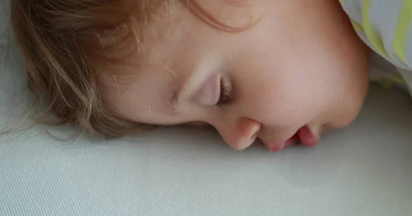 Baby Sleeping Cute Infant Napping Seen Toddler Boy Asleep Drooling — 스톡 사진