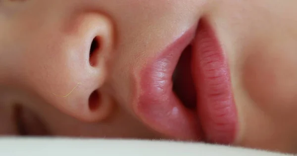 Baby Sleeping Face Closeup Infant Macro Lips Nose Close Napping — 图库照片