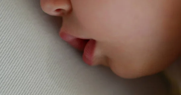 Baby Sleeping Close Macro Face Infant Boy Drooling Afternoon Nap — Zdjęcie stockowe