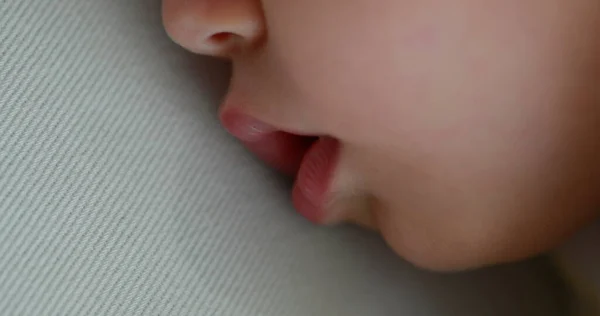 Baby Sleeping Close Macro Face Infant Boy Drooling Afternoon Nap — Zdjęcie stockowe