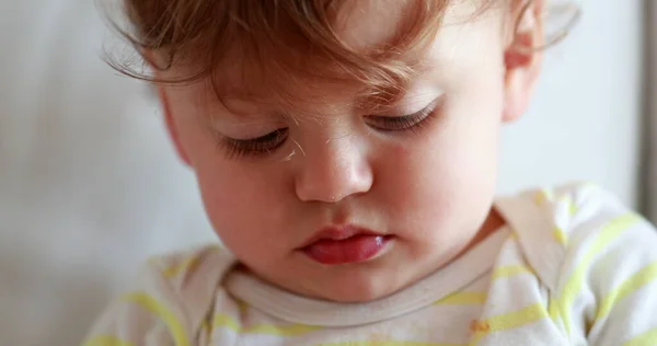 Baby Portrait Adorable Cute One Year Old Infant Toddler Boy —  Fotos de Stock