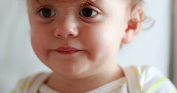 Baby Portrait Adorable Cute One Year Old Infant Toddler Boy — ストック写真