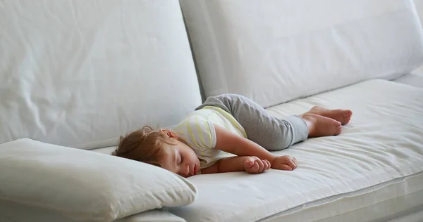 Candid Baby Sleeping Sofa Afternoon Nap Cute Infant Toddler Asleep — Stock Photo, Image