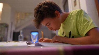 Young boy doing homework, concentrated kid preparing for exam