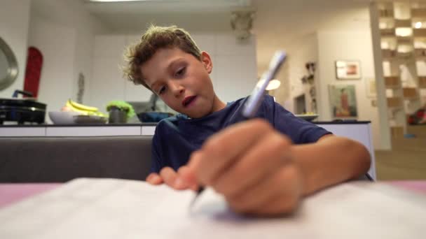 Boy Doing Homework Focused Exam Preparation — Vídeos de Stock