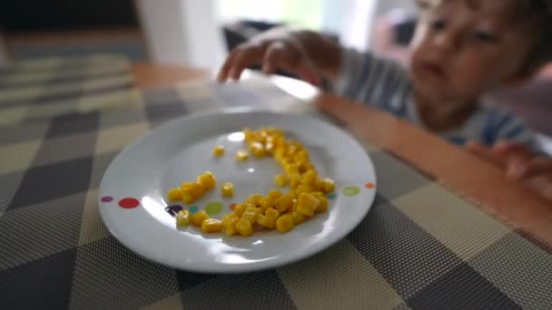 Παιδί Αρπάζει Καλαμπόκι Από Πιάτο Αγοράκι Αρπάζει Φαγητό — Αρχείο Βίντεο
