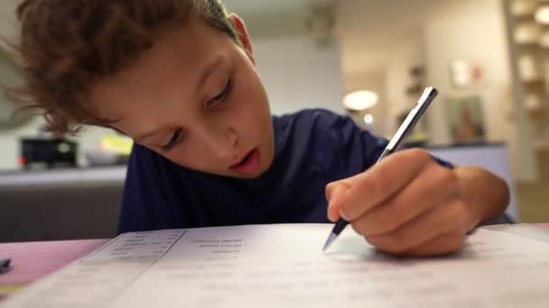Boy Doing Homework Focused Exam Preparation — Stockvideo