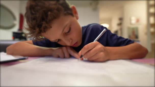 Dziecko Uczące Się Egzaminu Odrabiające Lekcje Domu — Wideo stockowe