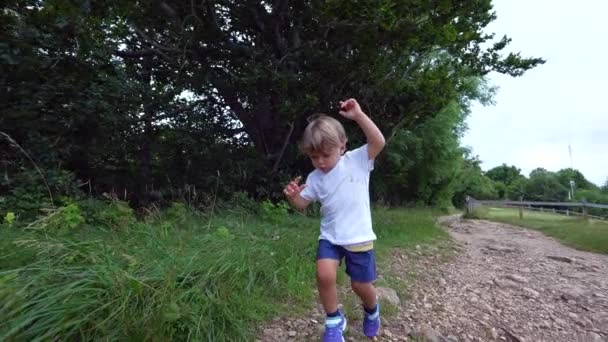 Liten Pojke Som Utforskar Naturen Promenader Grön Stig Utanför — Stockvideo