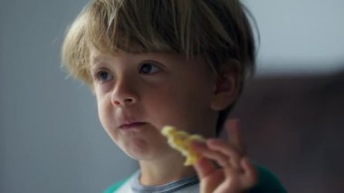 Çocuk portresi yiyen çocuk kurabiye pilavı yiyor.