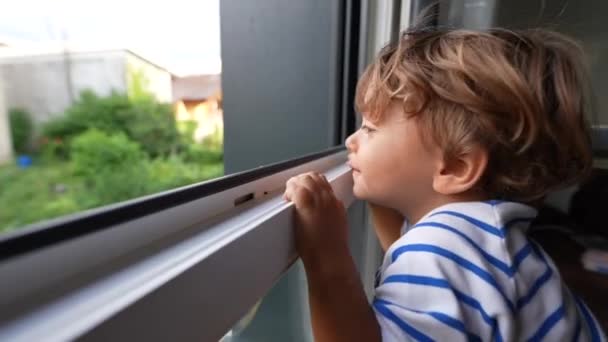 Gyermek Tartja Ablakban Veszélyes Kisfiú Közel Ablak Akar Látni Kívül — Stock videók