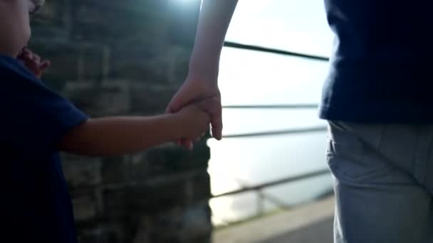 Tow Children Holding Hands Brother Holding Little Sibling Hand — Vídeo de Stock