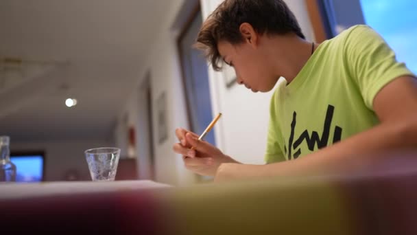 Adolescent Kid Doing Homework Studying Home Young Boy Studies — Vídeo de stock
