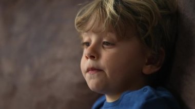 Küçük çocuk suratlı, çizgi film izleyen, yakından çekilmiş, hipnotize edilmiş.