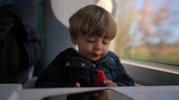 Παιδί Που Τρώει Φρούτα Φράουλα Ενώ Ταξιδεύει Τρένο — Αρχείο Βίντεο