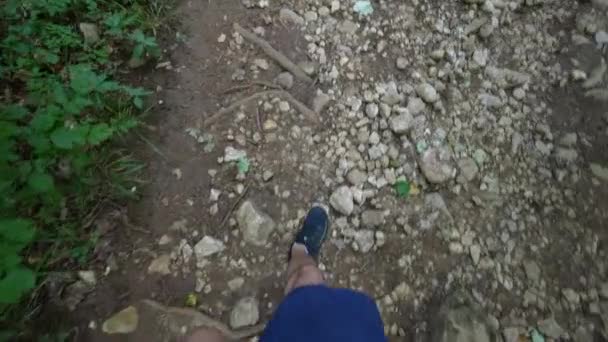 Pov Pessoa Pernas Caminhadas Livre Homem Caminhante Andando Fora Natureza — Vídeo de Stock