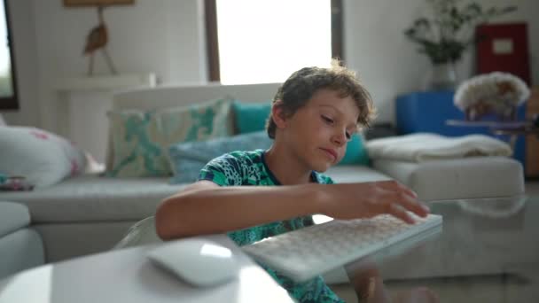 小男孩在屏幕前使用电脑键盘和鼠标 — 图库视频影像